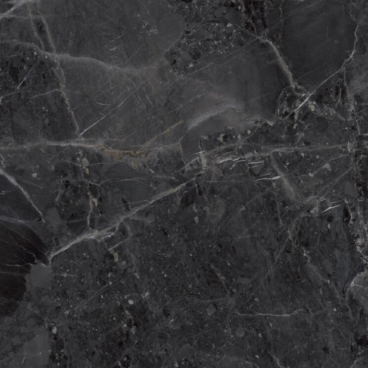 Плитка ARCADIA TECNO NERO 120X120 POLISHED з колекції Arcadia Monocibec Плитка ARCADIA TECNO NERO 120X120 POLISHED з колекції Arcadia Monocibec