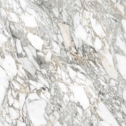 Плитка SPR MEMOR BIAN VAGLI ANT R - 120x120 PF60011851 Supreme Memories