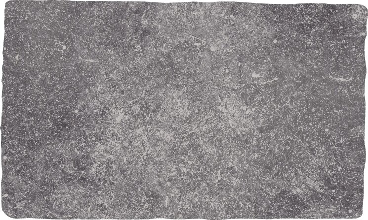 Плитка 30x50 37539 Pierre Bleue Gris Ermes Pierre Bleue з колекції Pierre Bleue Ermes