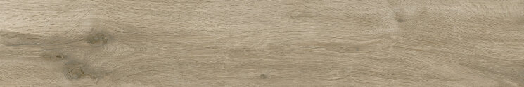 Плитка 20x120 Rovereret. Est. - Silvis - 181672 з колекції Silvis Sichenia