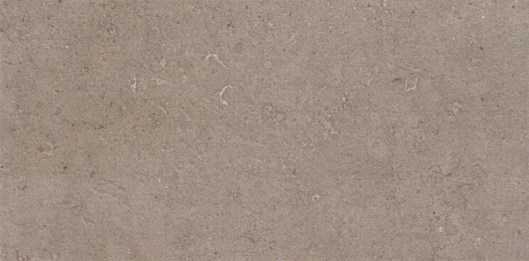 Плитка Seastone Greige 30x60 D138 з колекції Seastone Atlas Concorde Плитка Seastone Greige 30x60 D138 з колекції Seastone Atlas Concorde