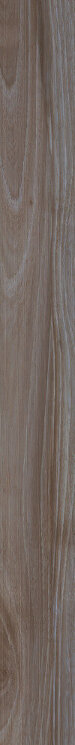 Плитка (10x100) 61056 Savanna Sepia Rett - Savanna з колекції Savanna Cerdomus