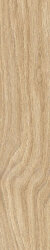 Плитка Woodline Xs Light Beige Ret - 10x50 B664.0178.034 Woodline