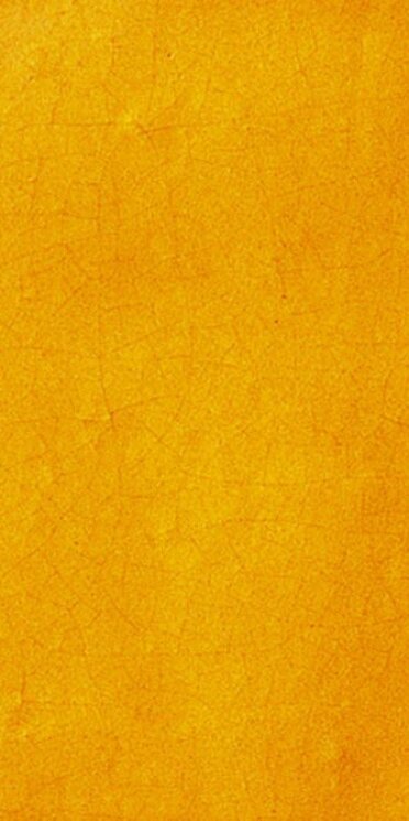 Плитка (5x10) Giallo Reale Rettangolo - Cotto Salernitano з колекції Cotto Salernitano Giovanni De Maio