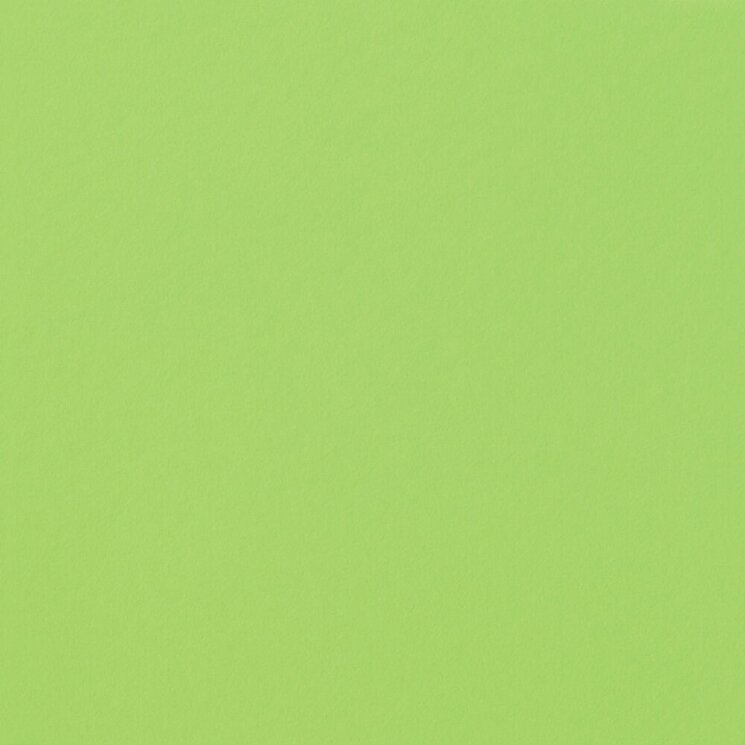 Плитка Greencolors Lime 20x20 2I0O з колекції GreenColors Atlas Concorde