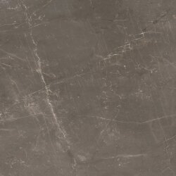 Плитка (58x58) PGWTY40 Sky Smoke Lux/Rtt4* - Trilogy