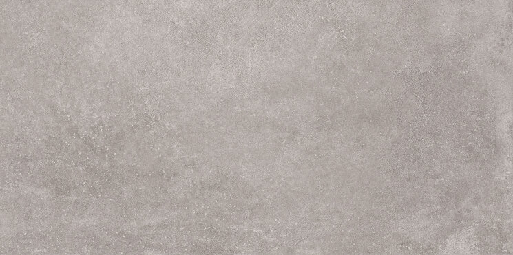 Плитка 40x80 Native Silver - Native - 0056711N з колекції Native Gardenia Orchidea