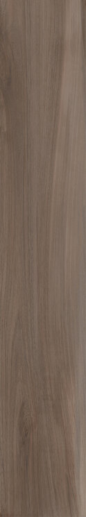 Плитка 20x120 Abetone Castagno Rt - Abetone - PABPR4 з колекції Abetone Paul Ceramiche