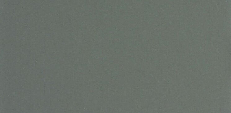 Плитка (29.4x59.1) Cinza Escuro Natural Rect - Tecnica з колекції Tecnica Aleluia Плитка (29.4x59.1) Cinza Escuro Natural Rect - Tecnica з колекції Tecnica Aleluia