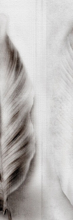 Плитка Brown Glossy - 100x300 BLCA092 C Kedu з колекції Kedu Bulbo Плитка Brown Glossy - 100x300 BLCA092 C Kedu з колекції Kedu Bulbo