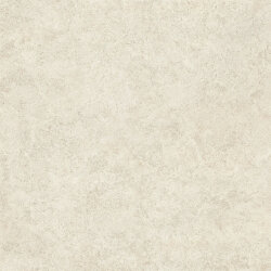 Плитка Landscape Avorio Silktech Rt - 80x80 EJR8 Landscape