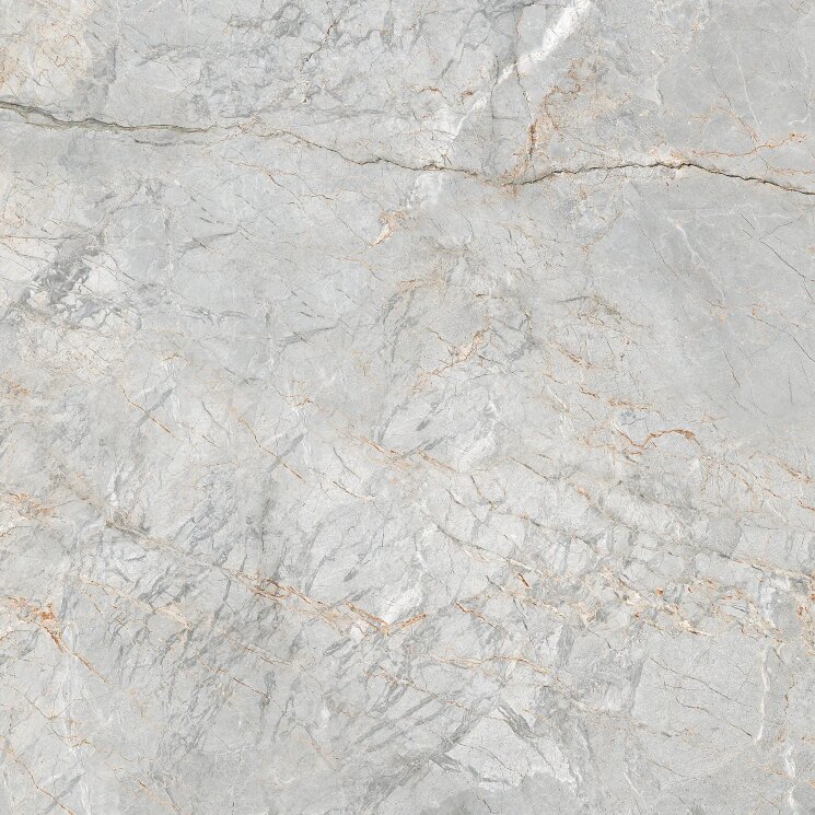 Плитка 60x60 592302 Oxford GreyNt Ricchetti Golden Pure з колекції Golden Pure Ricchetti Плитка 60x60 592302 Oxford GreyNt Ricchetti Golden Pure з колекції Golden Pure Ricchetti