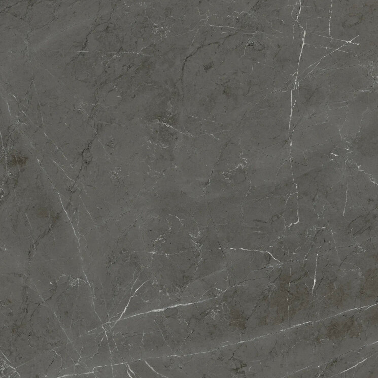 Плитка MARMOTECA GREYST NAT RET - 120x120 PF60006319 La Marmoteca з колекції La Marmoteca Gardenia Orchidea