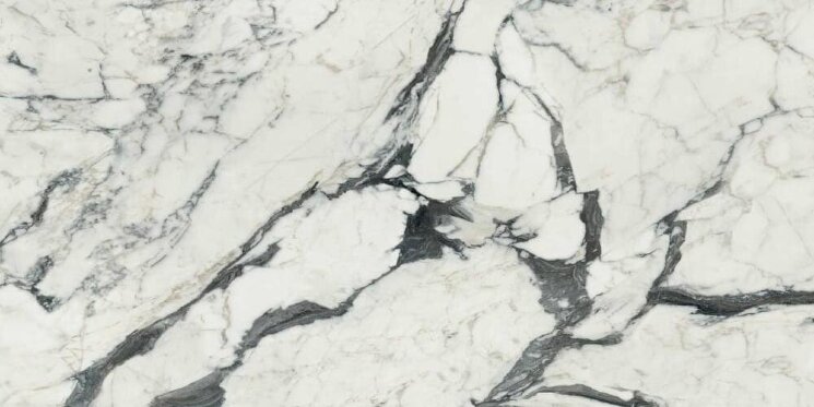 Плитка Calacatta Altissimo Matte 120x240 Les Bijoux Rex з колекції Les Bijoux Rex