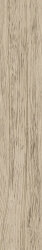 Плитка Sunwood Almond - 10x60 CSASNA1060 Sunwood Плитка Sunwood Almond - 10x60 CSASNA1060 Sunwood
