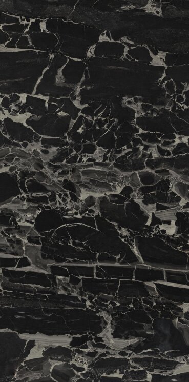 Плитка 60x120 Pantherblack-Panther Black з колекції Panther Black Tau