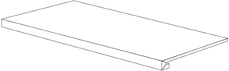 Сходинка (33x89) CR8D0PG Grad White Lion Lappatol - Petrified Tree з колекції Petrified Tree Emilceramica