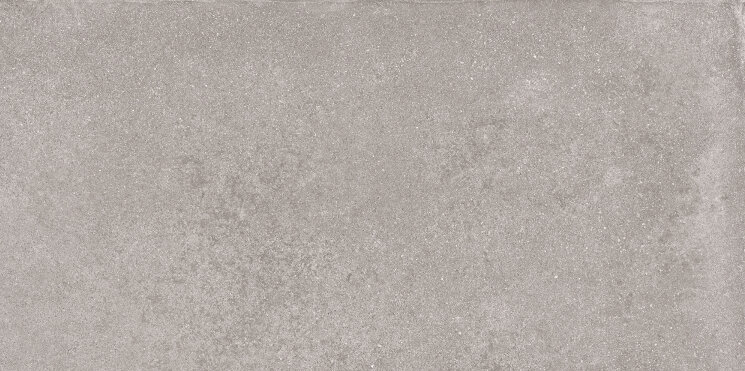 Плитка 60x120 Native Silver - Native - 0056661N з колекції Native Gardenia Orchidea