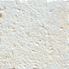 Плитка (20x20) TALCO з колекції Fuel Serenissima Cir Плитка (20x20) TALCO з колекції Fuel Serenissima Cir