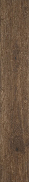 Плитка Actually Brown Rt - 20x120 MC1S Actually з колекції Actually Marazzi