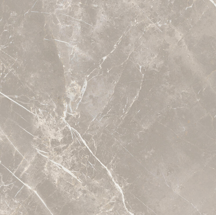 Плитка 120x120 Elemental St Grey Dolo Nat 10Mmr - Elemental Stone of Cerim - 767233 з колекції Elemental Stone of Cerim Cerim