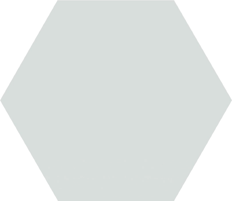 Плитка 17.1x19.8 Esagon Mix Grigio Sciana з колекції Esagon Paradyz