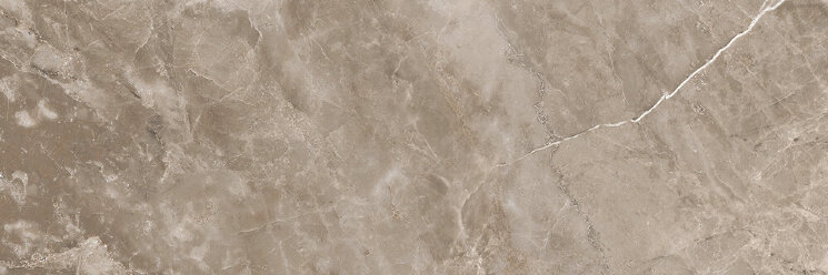 Плитка (19.5x58.5) 2400360 Marble Grigio Oni Lap - Marble з колекції Marble Versace