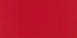 Плитка (25x50.2) IC050 Coral Matt - Icon