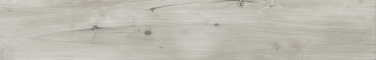 Плитка Barrica dry 20 gris 19,4х120 з колекції Barrica Azteca