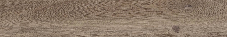 Плитка Ptr Wood Oak Nat - 20x120 10060 Poetry Wood з колекції Poetry Wood ABK Плитка Ptr Wood Oak Nat - 20x120 10060 Poetry Wood з колекції Poetry Wood ABK