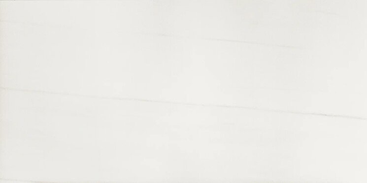 Плитка 58.5x117.2 DMJ12601R Majestic Evo Dolomite White Rett Dom Ceramiche Majestic Evo з колекції Majestic Evo Dom Ceramiche