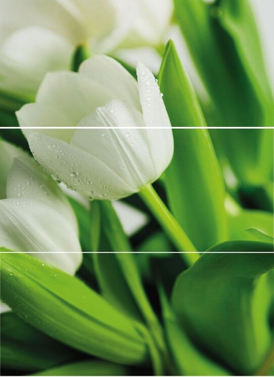 Декор (27х60) DECOR AFRODISIA-3 (комплект з 3шт) з колекції Hipnotic Novogres