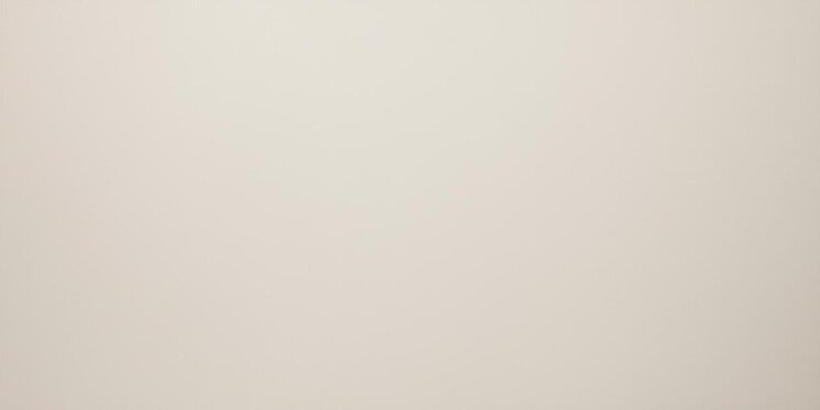 Плитка Bone Satin 3 mm Rt 50x100 Basic Levantina з колекції Basic Levantina Плитка Bone Satin 3 mm Rt 50x100 Basic Levantina з колекції Basic Levantina