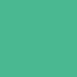 Плитка 20x20 Colorvision Palm Green - Colorvision - 1190 B503 0