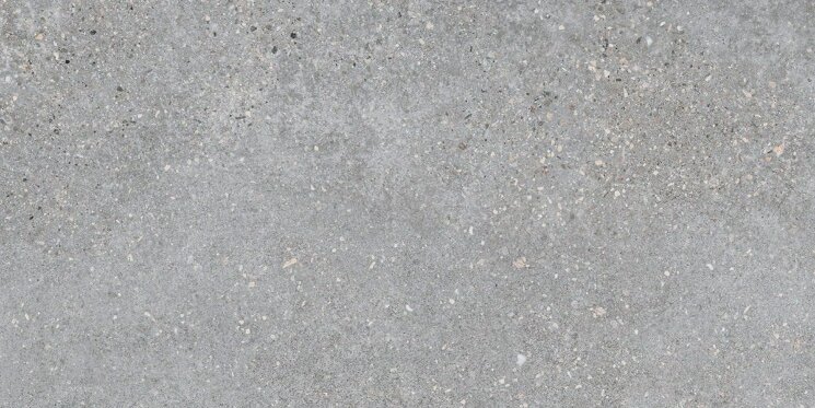 Плитка 30x60 Cinder R - Mold - MX30 з колекції Mold Refin