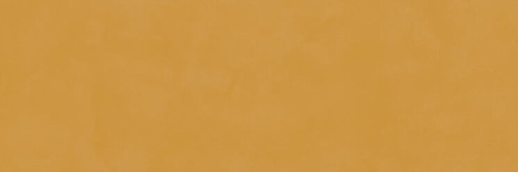 Плитка Brush Camel - 33.3x100 432090 Brush з колекції Brush Armonie