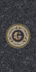 Декор ICONS VIR GAL BLACK R - 60x120 G0028345 Icons