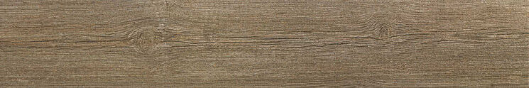 Плитка (20x120) 17.871.203.2869 Desertwood Antic - Desertwood з колекції Desertwood Pamesa