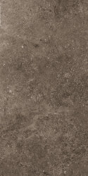 Плитка (60x120) EGXSSX2 Rare Dark Hon/Rtt - Secret Stone