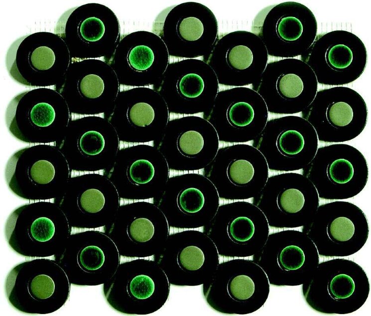 Мозаїка (31.1x25.9) V31C Foglio Ecrue (ebano/salvia/verde) - Decors з колекції Decors Zillig