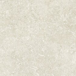 Плитка (60x60) fMXZ Nord 60Artic Matt - Nord