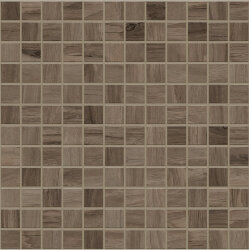 Мозаїка (30x30) 102186 Noce 2,5X2,5Mosaic Mosmosaico Su Rete - Vermont