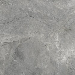 Плитка 60x60 004.840.0344.06159 Ash pol rect Pamesa Cr.Wells