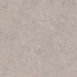 Плитка 60x60 Bi Grey - Biophilic - P009496