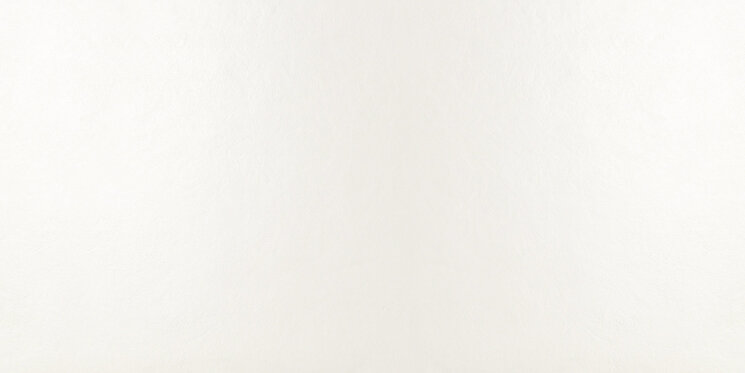 Плитка 60x120 Just Grey Super White Natural - Just Grey - X126120 з колекції Just Grey Porcelaingres