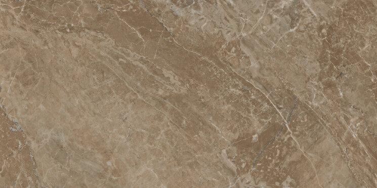 Плитка (58.5x117.5) 2400670 MARBLE MARRONE ON LAP - Marble з колекції Marble Versace Плитка (58.5x117.5) 2400670 MARBLE MARRONE ON LAP - Marble з колекції Marble Versace
