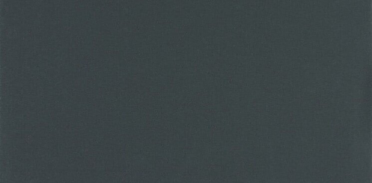 Плитка (29.4x59.1) Preto Natural Rect - Tecnica з колекції Tecnica Aleluia