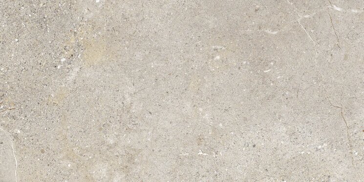 Плитка 29.5x59.2 P3107R Stone age greige natural ret Aleluia Stone Age з колекції Stone Age Aleluia