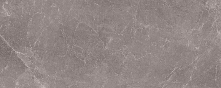 Плитка Rain Grey Polished 50x100 Exedra Kerlite з колекції Exedra Kerlite
