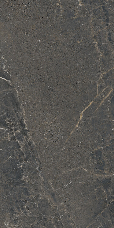 Плитка 60x120 Anthology05 Dark Rough Rt - Anthology - LGXALL5 з колекції Anthology Lea